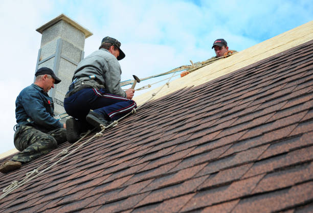 Roof Gutter Cleaning in Redland, TX